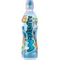 Kubík Waterrr Hruška 0,5l PET