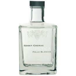 Godet Antarctica 0.5l