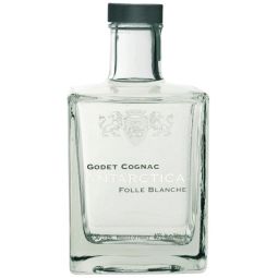 Godet Antarctica 0.5l