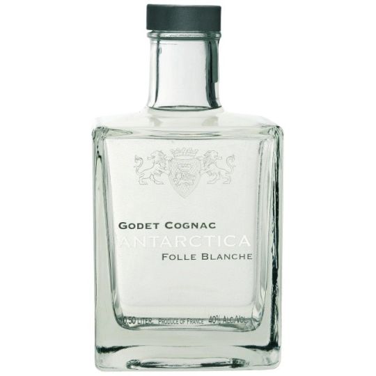 Godet Antarctica 0.5l
