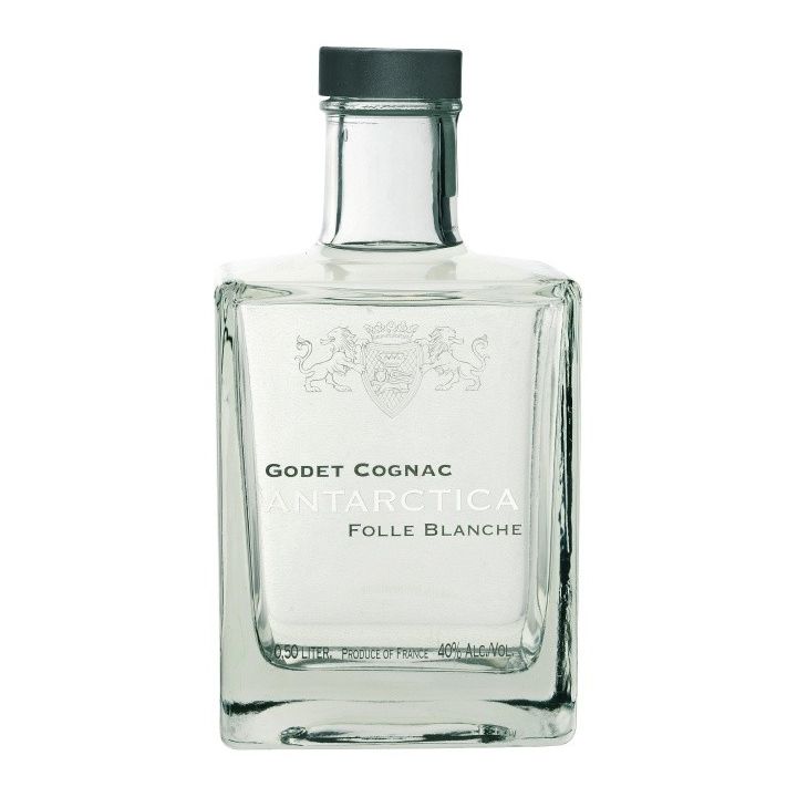 Godet Antarctica 0.5l
