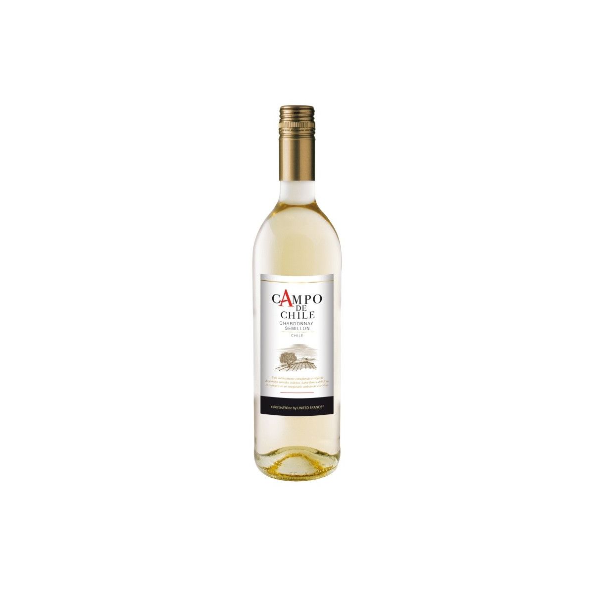 Chardonnay 0,75l - Campo de Chile