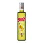 SQUASH divoká hruška 0,5l