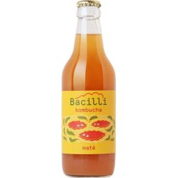 Bacilli Kombucha Maté 0,33l sklo