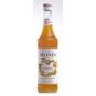 Monin Mandarine - mandarinkový sirup 0,7l