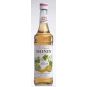 Monin Melon - melounový sirup 0,7l