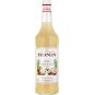 Monin Coconut - kokosový sirup 1l