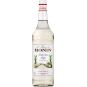 Monin Sucre de Canne - třtinový cukr 1l