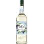Giffard Sirup Cukrová třtina 1l