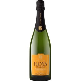 Hoya de Cadenas Cava Brut nature 0,75l - Vicente Gandia 