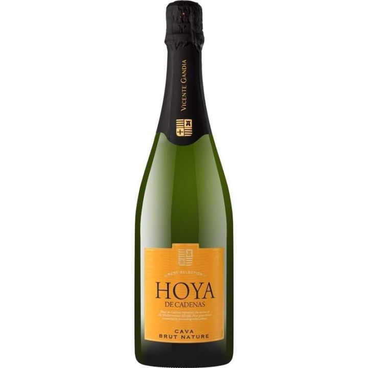 Hoya de Cadenas Cava Brut nature 0,75l - Vicente Gandia 