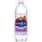 Hanácká Kyselka Paměť červený & černý rybíz 0,7l - PET