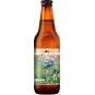 Prager's Kombucha Original 0,33l - sklo