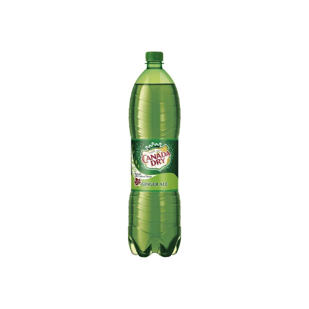 Canada Dry 0,33l - plech