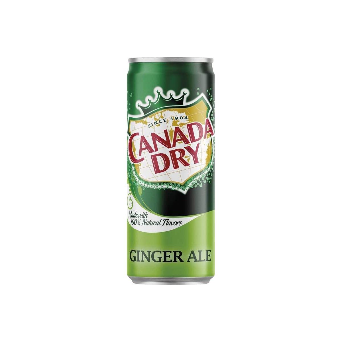 Canada Dry 0,33l - plech
