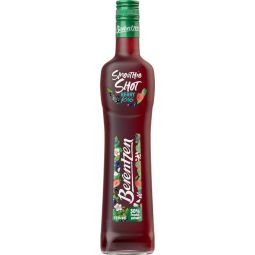 Berentzen Smoothie Shot Berry Kiss 0,5l