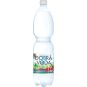 Dobrá voda Lesní plody 1,5l - PET